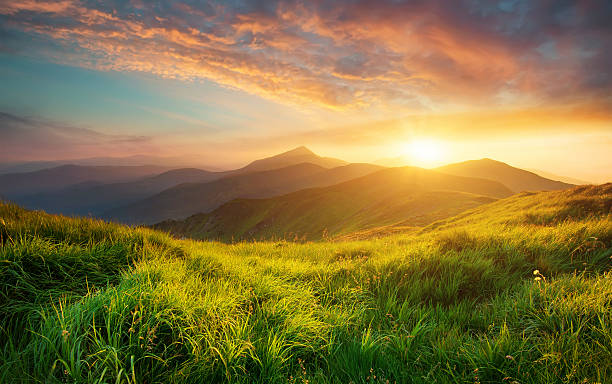Sunset Wheatfield